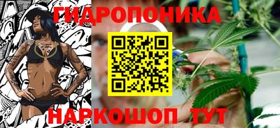 гидропоника Заводоуковск