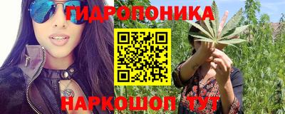 молекула духа Заволжье