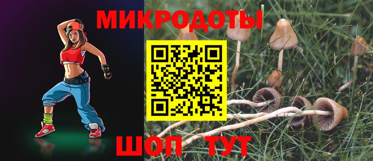 Буйнакск  Псилоцибиновые грибы мухоморы  Вход с VPN 